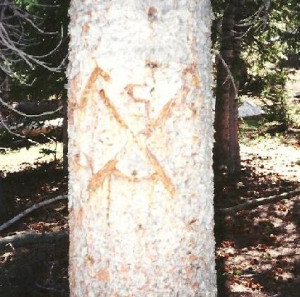 Tree Carving Font