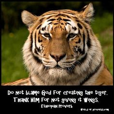 - Famous Quotes: Do not blame God for having created the tiger ...