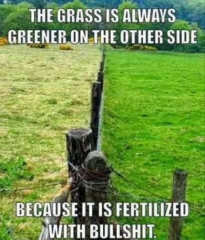 funny-the-grass-is-always-greener-on-the-other-side-because-01.jpg