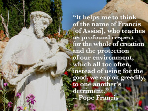 Eco-Pope: Francis’ 8 Most Memorable Quotes on the Environment ...