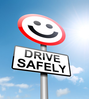 ... training we pay the main attention to the principles of safe driving