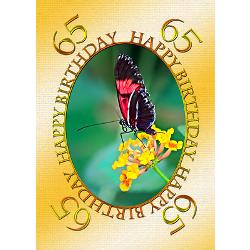 65th_birthday_butterfly_on_a_flower_greeting_card.jpg?height=250&width ...