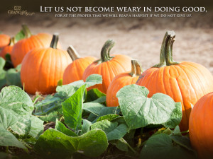 Let us not become weary in doing good, for at the proper time we will ...