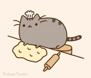 Baker Cat!