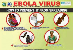 ebola virus disease evd formerly known as ebola haemorrhagic fever is ...