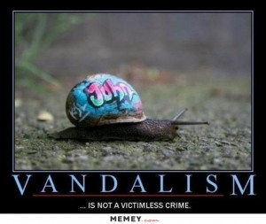 Snail With Graffiti