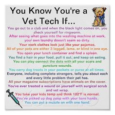 Veterinary Technician