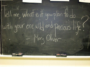 ... it you plan to do with your one wild and precious life? ~ Mary Oliver