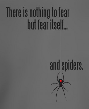 There is nothing to fear but fear itself.... and spiders.