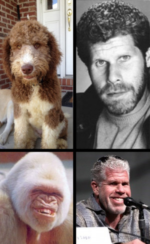 Ron Perlman then and now.