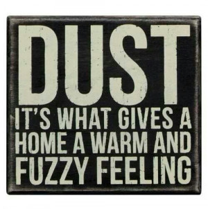 Dust: it's what gives a home a warm & fuzzy feeling