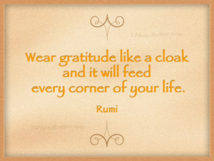 ... gratitude like a cloak and it will feed every corner of your life
