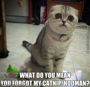 Sorry I’ll B-Buy It Tomorrow. Please, Don’t Be Sad.