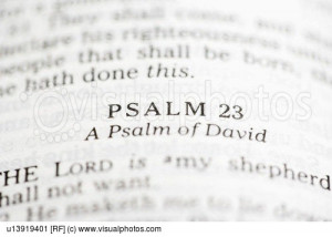 23 psalms religious scripture scriptures selective focus shepherd ...
