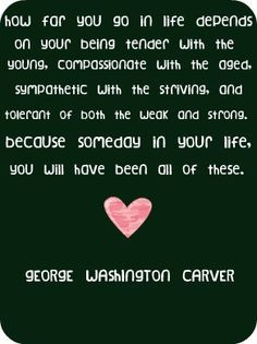 george washington carver george washington 22 february 1732 14 ...