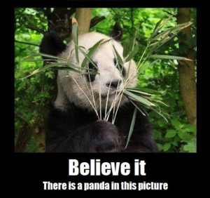 Source: Panda Ninja | picture 17589