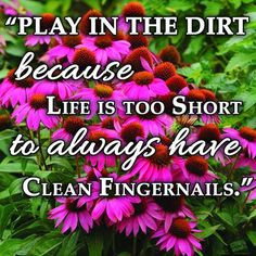 ... dirt because life is too short to always have clean fingernails.