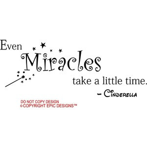 Epic Designs Even Miracles Take A Little Time Cinderella Disney Cute ...