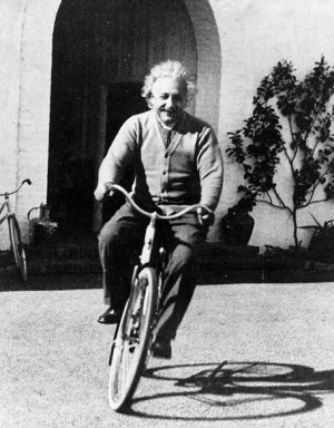 the-heart-of-the-lion: 