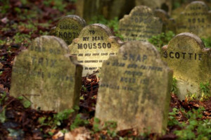 Pet Cemetery in Central London (8 pics)