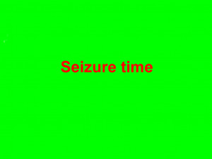 seizure1.freewebspace.com