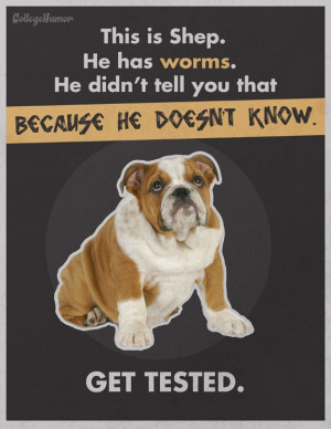 Humorous PSA Ads Raise Awareness For The Many Problems Faced By Dogs