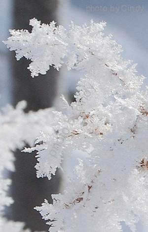 ... Winter Wonderland, Beauty Winter Snow Scenes, Winter Scenes, Beauty