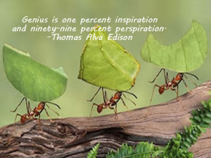 Genius is one percent inspiration and ninety-nine percent perspiration ...