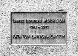 Login or register to post comments