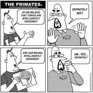 Click each thumbnail to get the full size image.