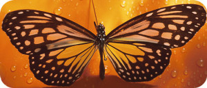 meaningful Butterfly tattoo ideas