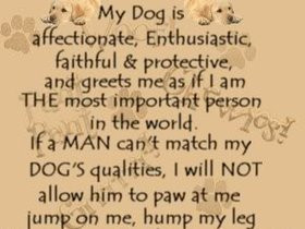 my dog quotes photo: my dog mydogis.jpg