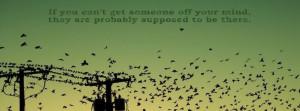 Funny Quote Facebook Cover Photo
