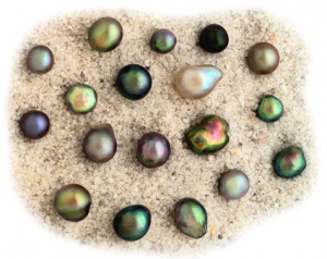 Before the pearl cultivation started every single pearl came from ...