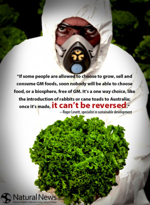 , sell and consume GM foods, soon nobody will be able to choose food ...