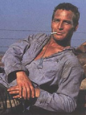 Paul Newman in Cool Hand Luke