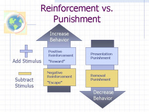 Reinforcement vs. Punishment
