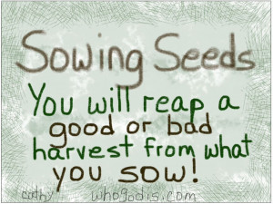 Sowing Seeds – You Will Either Reap A Good Or Bad Harvest