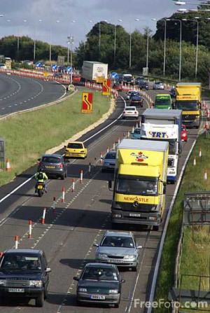 coetzee summertime wiki