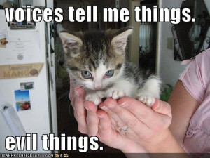 cats : funny-pictures-evil-cute-kitten-hands