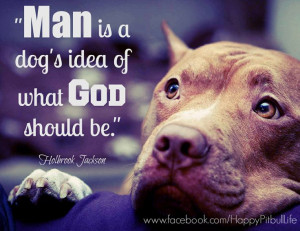 pitbull dog quote pet mansbestfriend family loyalty admiration