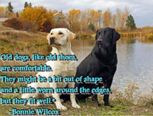 The Love of A Canine – Inspirational Quotes about Dogs: Popular Dog ...