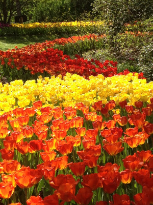 Honoring Mother’s Day with Story, Poems & Quotes