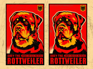 View Full Size | More angry rottweiler wallpaper | Source Link