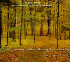 favorite Henry David Thoreau quote - 