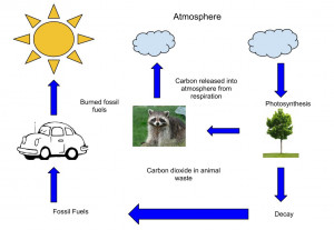 Greenhouse Gas Effect Diagram