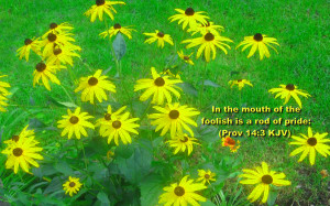 In The Mouth Of The Foolish Is A Rod Of Pride. ~ Bible Quote