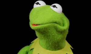 These Kermit The Frog “But That’s None Of My Business” Memes Are ...