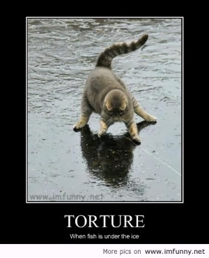 Awesome funny pictures animals with sayings