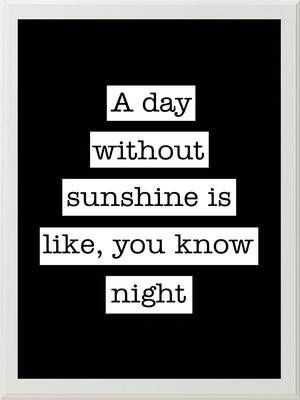 Day Without Sunshine-Steve Martin